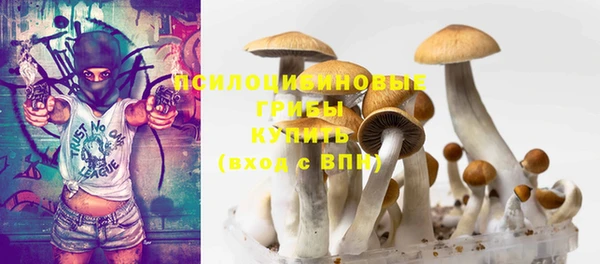 не бодяженный Бородино