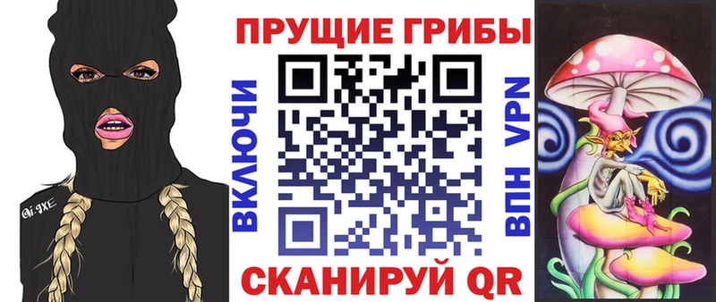 сколько стоит  Грязи  Галлюциногенные грибы Cubensis 